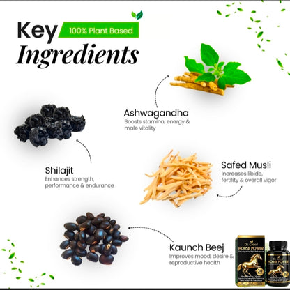 Dr Green - Horse Power Capsule